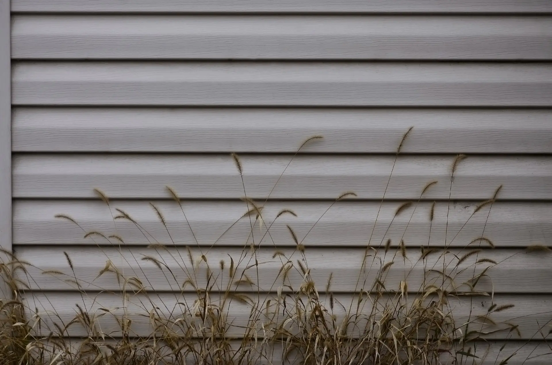 Siding, plastic panels texture closeup in the daytime outdoors